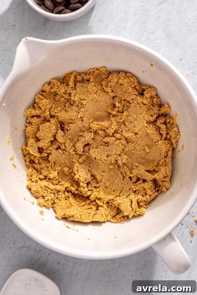 wet and dry ingredients combined to form protein bar dough