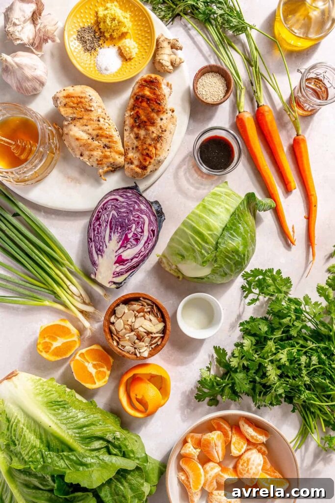 ingredients for Asian chicken salad including cabbage, carrots, romaine, chicken, and herbs
