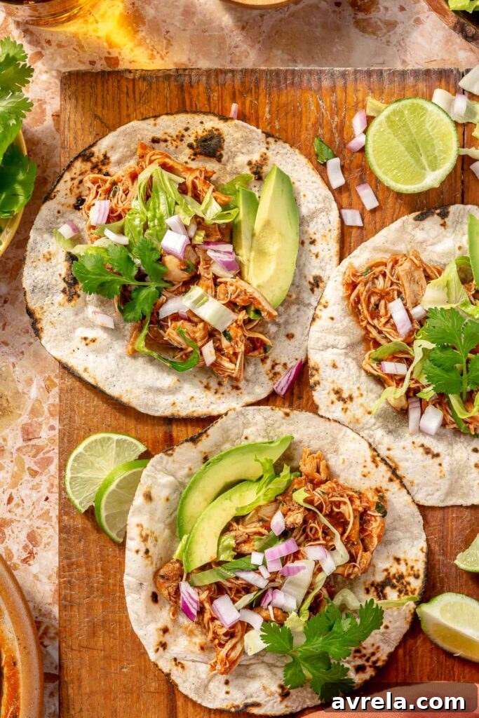Crockpot chicken tinga tacos with shredded chicken, avocado, and cilantro in tortillas