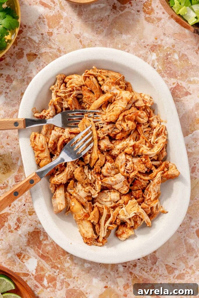 chicken tinga
