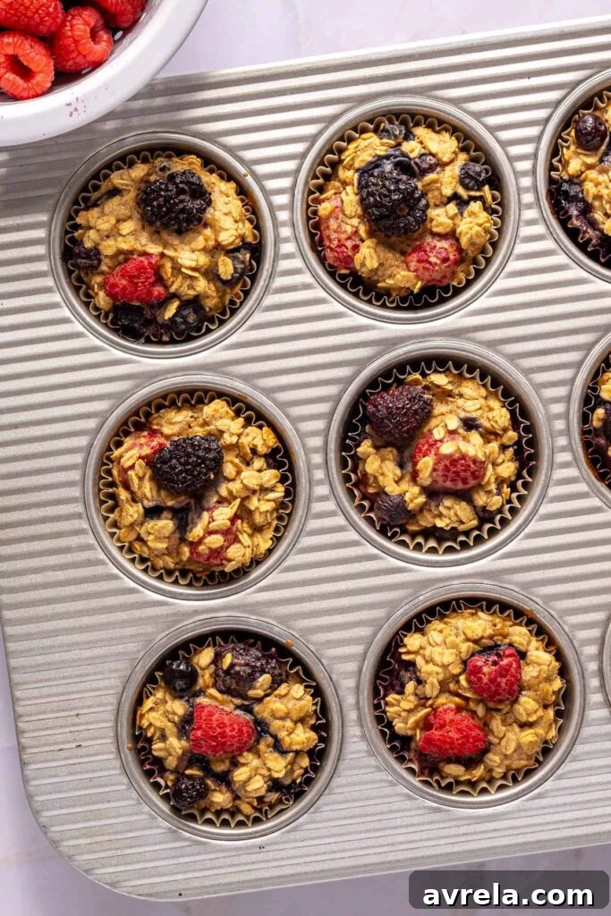 Berry Oatmeal Protein Muffins — Gluten-Free Recipe 17 img 59097 16