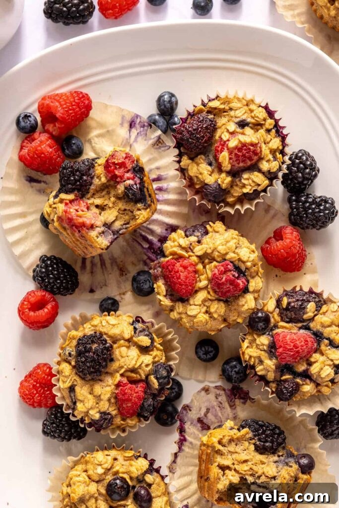 Berry Oatmeal Protein Muffins — Gluten-Free Recipe 4 img 59097 3