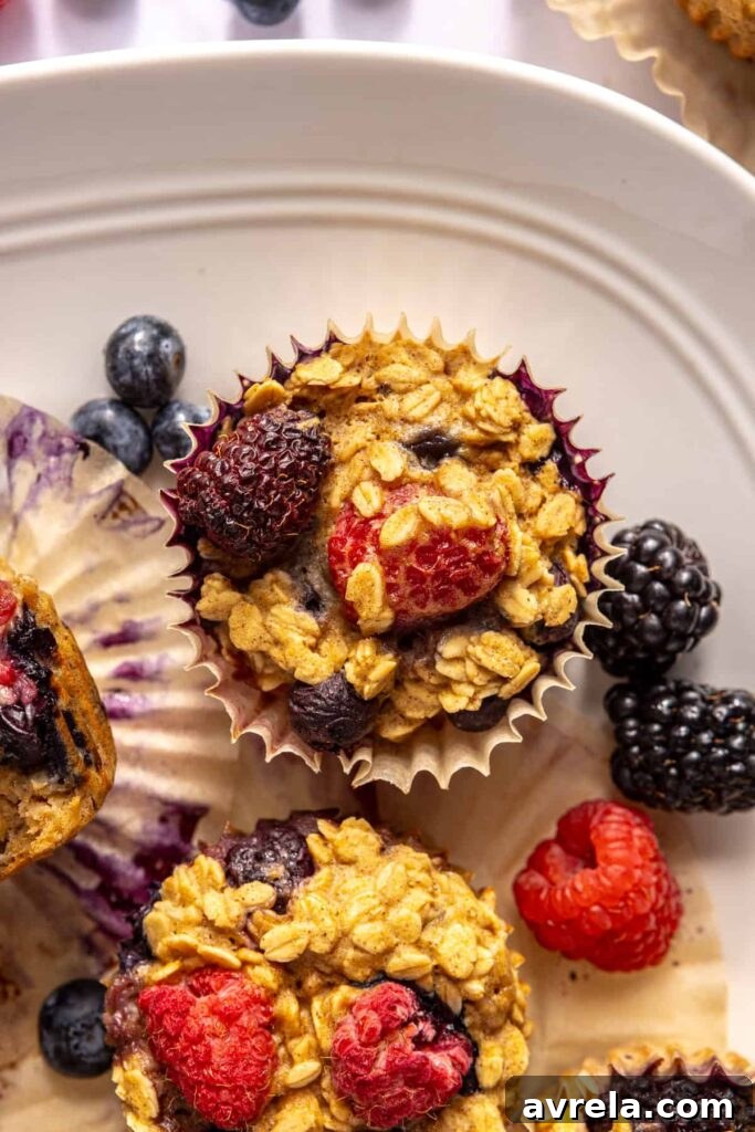 Berry Oatmeal Protein Muffins — Gluten-Free Recipe 7 img 59097 6
