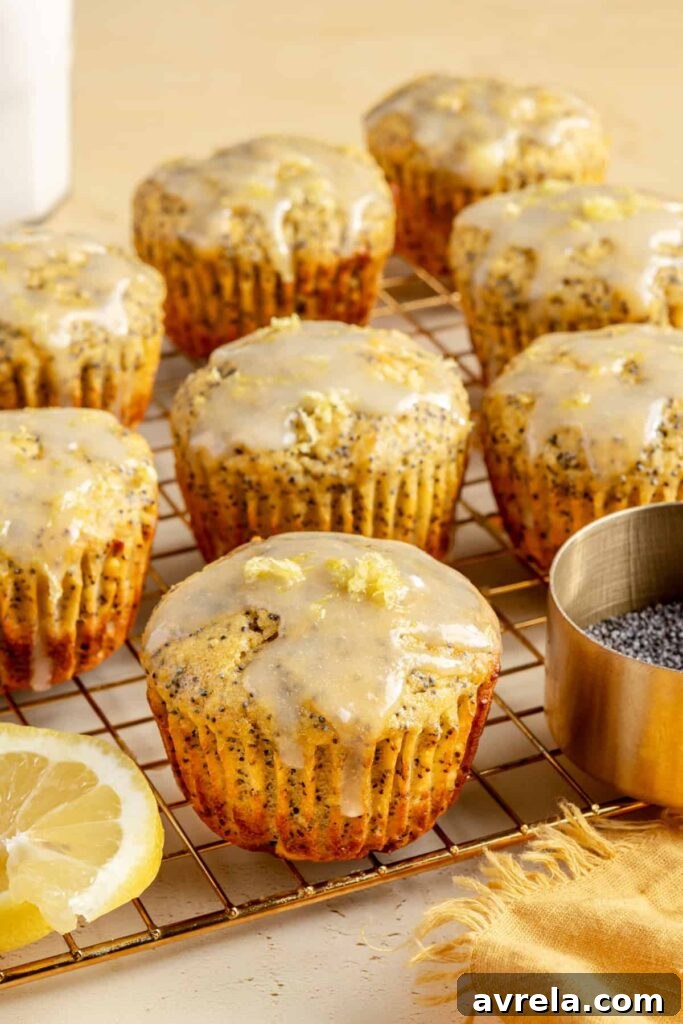 Fluffy lemon poppy seed protein muffins made with almond flour and topped with a homemade coconut butter glaze.