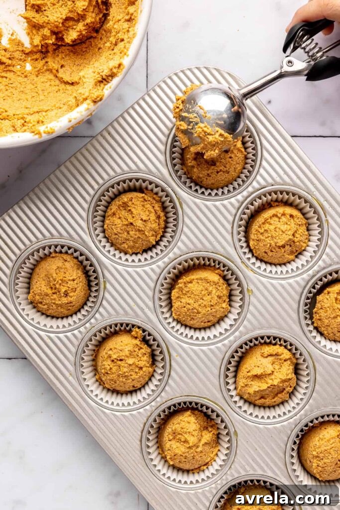 pumpkin muffins for toddlers (no added sugar, healthy recipe)