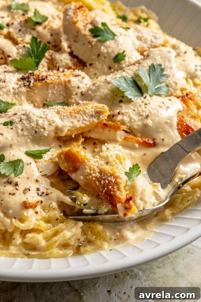 High-protein chicken alfredo served with spaghetti squash