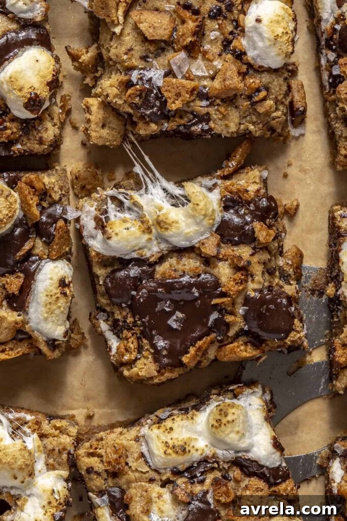 s'mores blondies (gluten-free!)