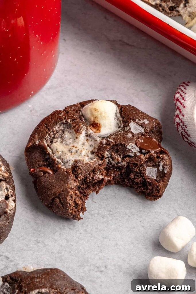 close up of a half eaten hot cocoa cookie, to show texture