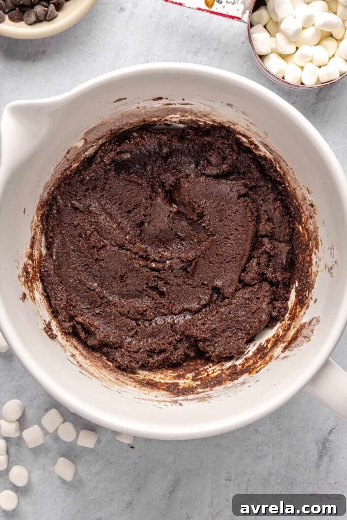 fully mixed wet and dry ingredients to form hot cocoa cookie dough