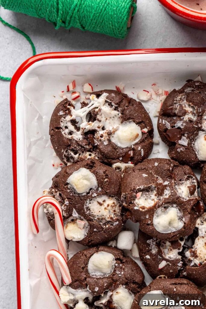 Holiday hot cocoa cookies arranged with candy canes on a festive tray