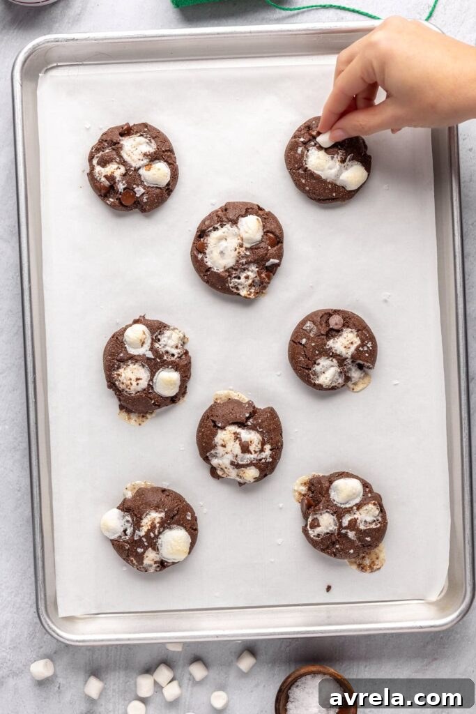 Adding mini marshmallows to the top of hot cocoa cookies after baking