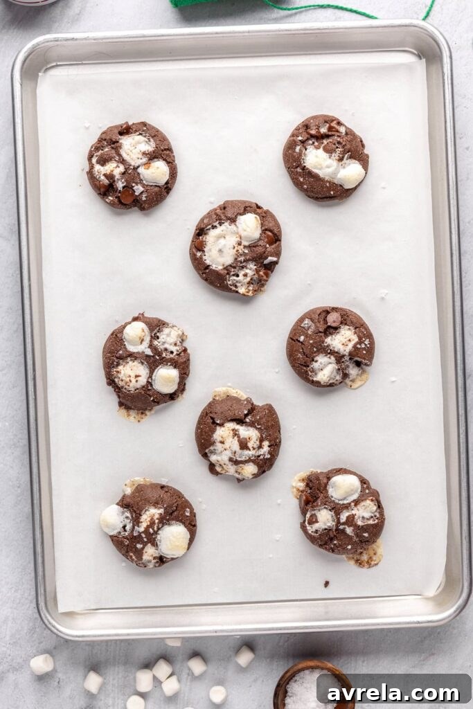 Golden hot cocoa cookies fresh from the oven
