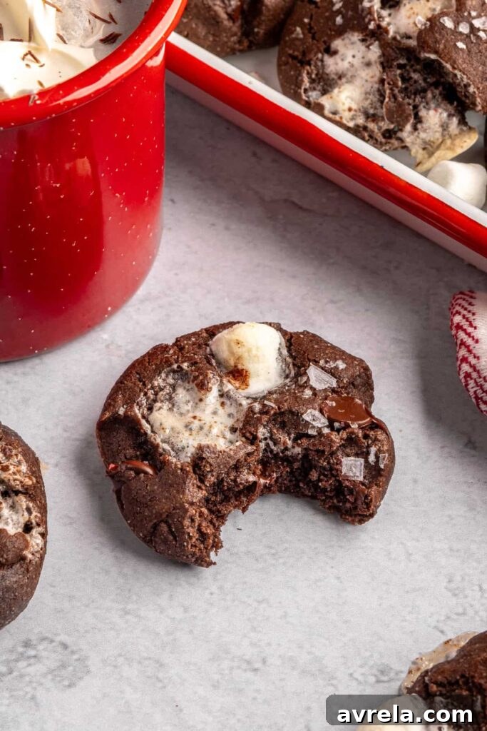 close up of a half eaten hot cocoa cookie, to show texture