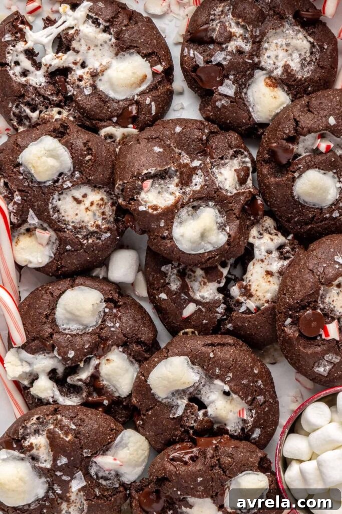 close-up of holiday hot cocoa cookies arranged with candy canes on a festive tray
