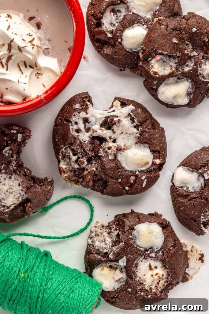 Close-up of warm hot cocoa cookies topped with melted marshmallows and chocolate chips