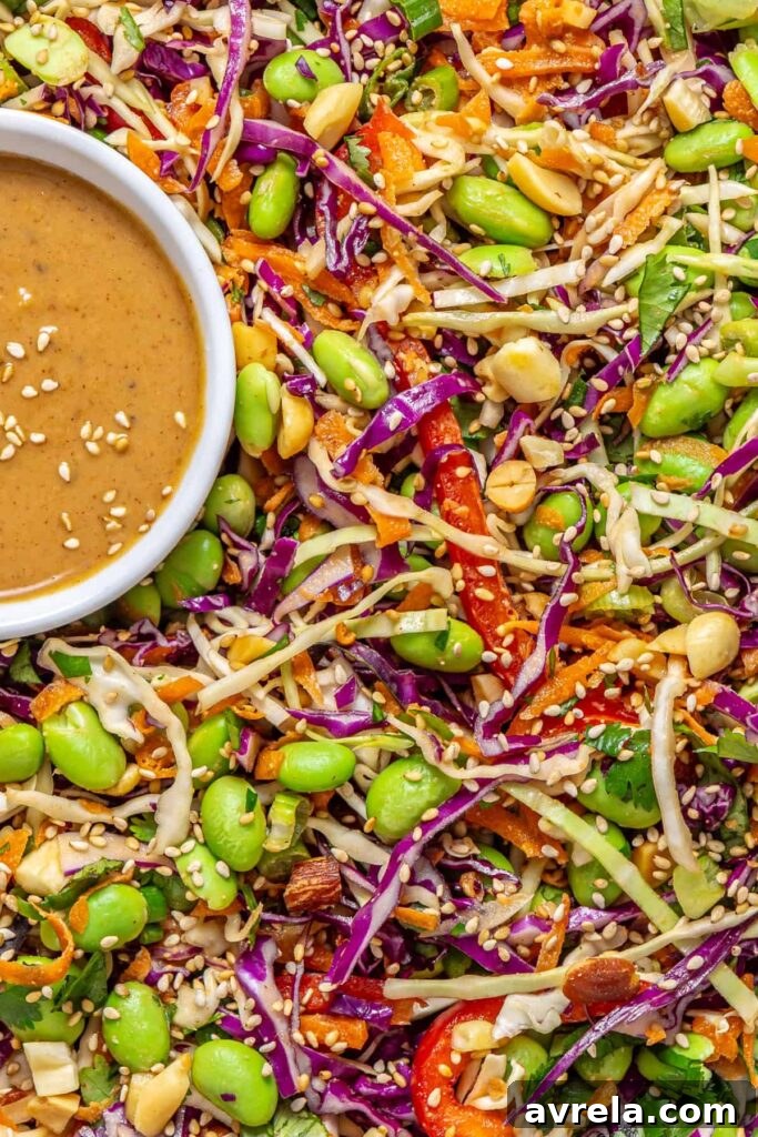 Detailed overhead view of peanut cabbage salad with sesame seeds, edamame and cilantro