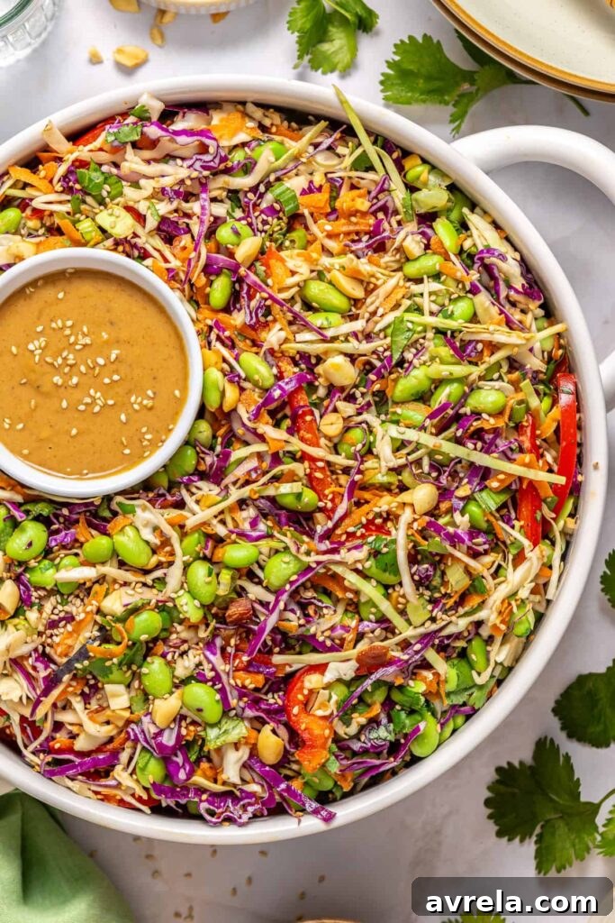 Texture shot of crunchy cabbage salad with creamy peanut dressing