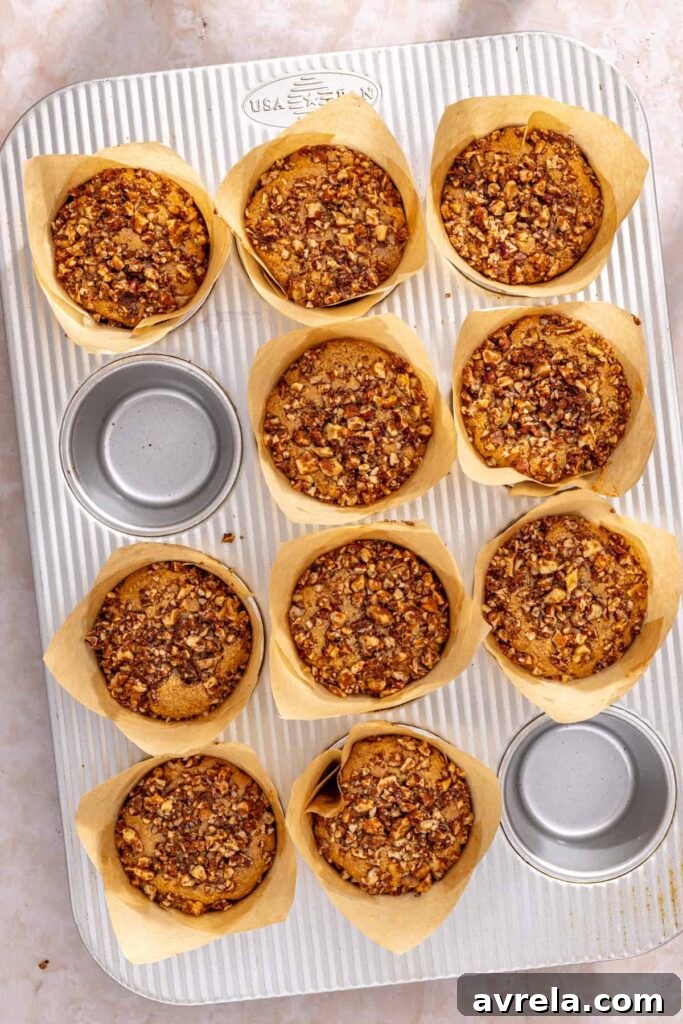 Warm coffee cake muffins with streusel topping resting in muffin pan