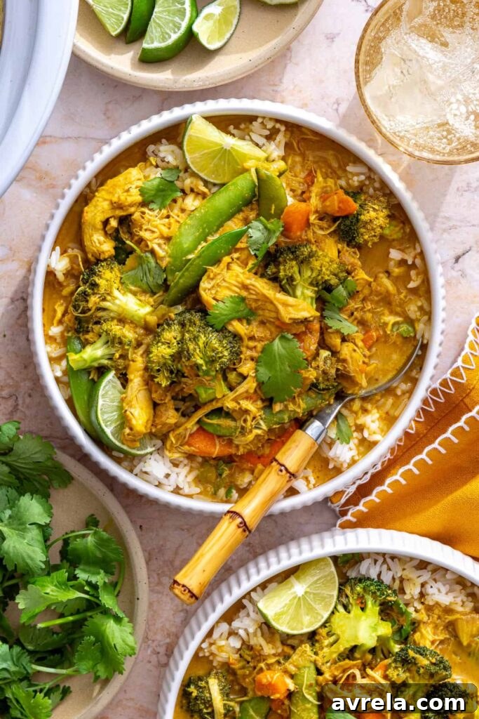 Slow Cooker Coconut Chicken Curry Recipe for Tender, Flavorful Meals 2 healthy chicken curry over rice in bowl, overhead view