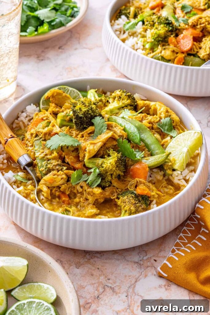 Slow Cooker Coconut Chicken Curry Recipe for Tender, Flavorful Meals 6 overhead shot of chicken curry in slow cooker with serving setup