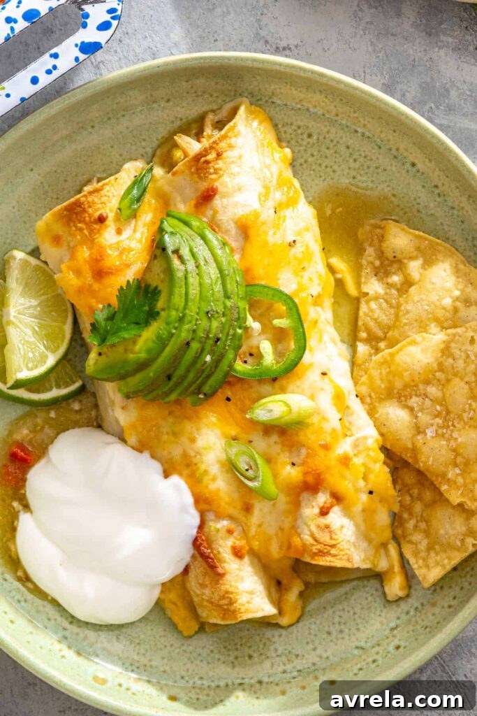 Baked Creamy Chicken Enchiladas with Salsa Verde 2 Plated homemade chicken enchiladas topped with avocado and cilantro