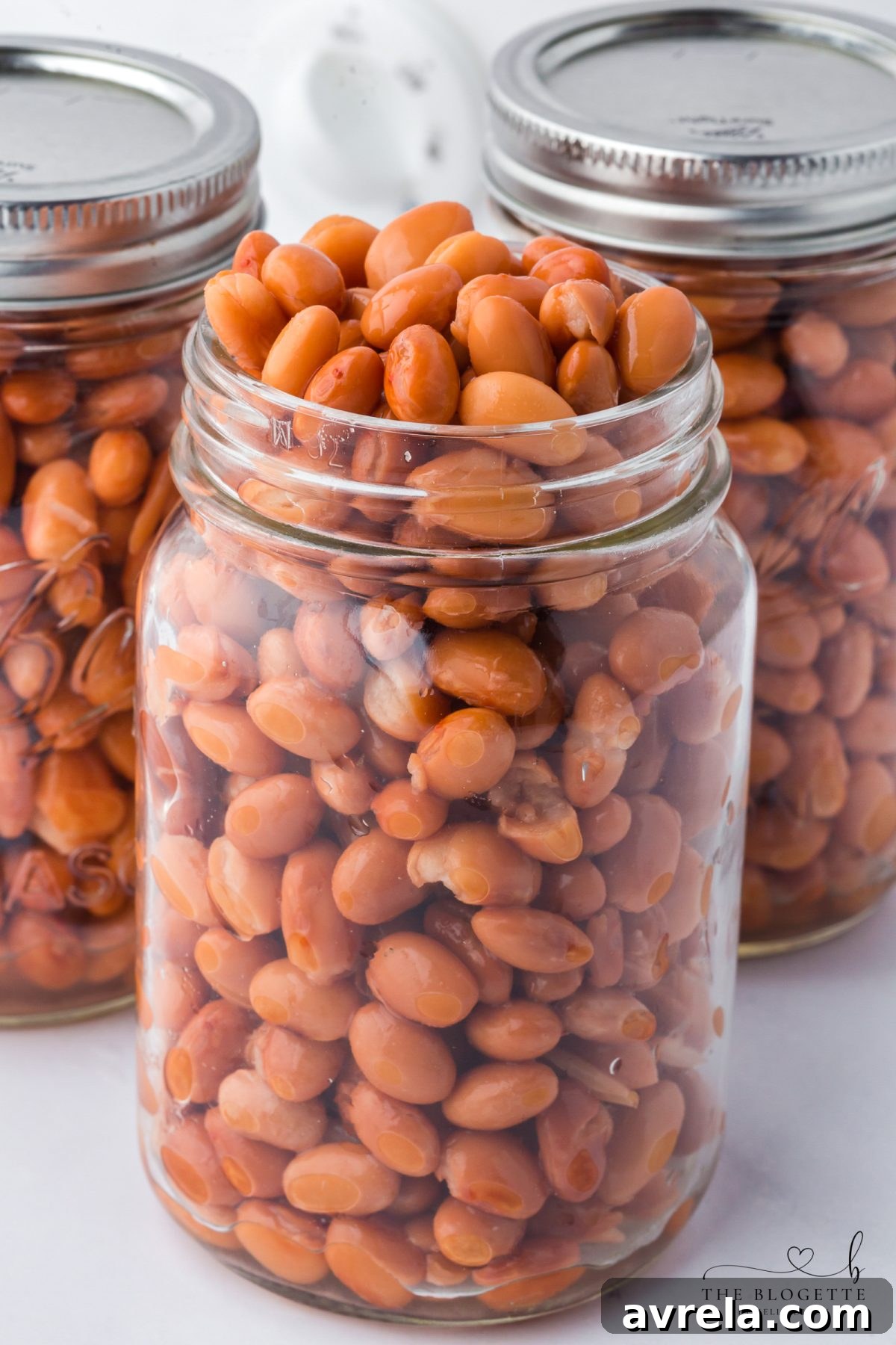 Slow Cooker Beans That Freeze Well 9 Crockpot Freezer Beans
